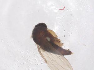  ( - CBG-B00171-A11)  @11 [ ] CreativeCommons - Attribution Share - Alike (2025) Centre for Biodiversity Genomics Centre for Biodiversity Genomics