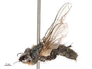  ( - CBG-B00188-E12)  @11 [ ] CreativeCommons - Attribution Share - Alike (2025) CBG Photography Group Centre for Biodiversity Genomics