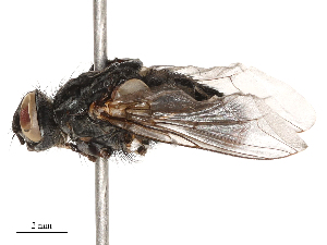 ( - CBG-B00189-A08)  @11 [ ] CreativeCommons - Attribution Share - Alike (2025) CBG Photography Group Centre for Biodiversity Genomics