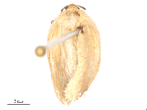  ( - CBG-B00189-B11)  @11 [ ] CreativeCommons - Attribution Share - Alike (2025) CBG Photography Group Centre for Biodiversity Genomics