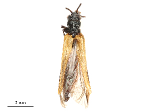  ( - CBG-B00190-F07)  @11 [ ] CreativeCommons - Attribution Share - Alike (2025) CBG Photography Group Centre for Biodiversity Genomics