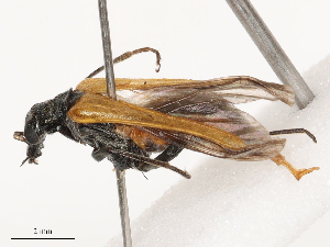  ( - CBG-B00191-B05)  @11 [ ] CreativeCommons - Attribution Share - Alike (2025) CBG Photography Group Centre for Biodiversity Genomics