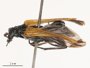  ( - CBG-B00191-B07)  @11 [ ] CreativeCommons - Attribution Share - Alike (2025) CBG Photography Group Centre for Biodiversity Genomics