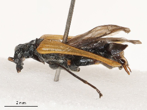  ( - CBG-B00191-B09)  @11 [ ] CreativeCommons - Attribution Share - Alike (2025) CBG Photography Group Centre for Biodiversity Genomics