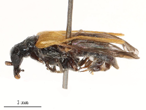  ( - CBG-B00191-B10)  @11 [ ] CreativeCommons - Attribution Share - Alike (2025) CBG Photography Group Centre for Biodiversity Genomics