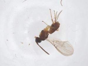  ( - CBG-B00456-C06)  @11 [ ] CreativeCommons - Attribution Share - Alike (2025) Centre for Biodiversity Genomics Centre for Biodiversity Genomics