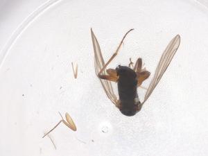  ( - CBG-B01161-B01)  @11 [ ] CreativeCommons - Attribution Share - Alike (2025) Centre for Biodiversity Genomics Centre for Biodiversity Genomics