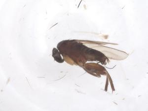  ( - CBG-B01982-A01)  @11 [ ] CreativeCommons - Attribution Share - Alike (2025) Centre for Biodiversity Genomics Centre for Biodiversity Genomics