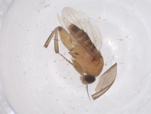  ( - CBG-B01982-F05)  @11 [ ] CreativeCommons - Attribution Share - Alike (2025) Centre for Biodiversity Genomics Centre for Biodiversity Genomics