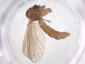  ( - CBG-B02805-H01)  @11 [ ] CreativeCommons - Attribution Share - Alike (2025) Centre for Biodiversity Genomics Centre for Biodiversity Genomics