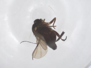  ( - CBG-B02806-E08)  @11 [ ] CreativeCommons - Attribution Share - Alike (2025) Centre for Biodiversity Genomics Centre for Biodiversity Genomics