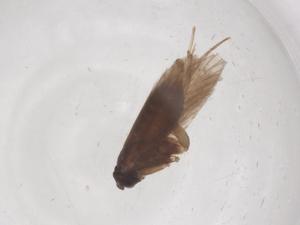  ( - CBG-B02914-A10)  @11 [ ] CreativeCommons - Attribution Share - Alike (2025) Centre for Biodiversity Genomics Centre for Biodiversity Genomics