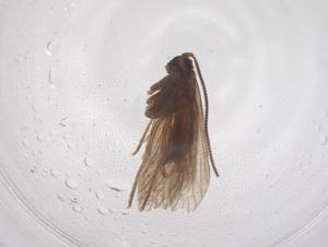  ( - CBG-B02914-D12)  @11 [ ] CreativeCommons - Attribution Share - Alike (2025) Centre for Biodiversity Genomics Centre for Biodiversity Genomics