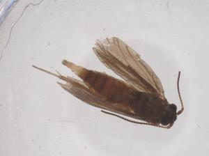  ( - CBG-B02914-F04)  @11 [ ] CreativeCommons - Attribution Share - Alike (2025) Centre for Biodiversity Genomics Centre for Biodiversity Genomics