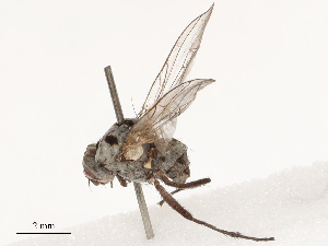  ( - CBG-B03412-E08)  @11 [ ] CreativeCommons - Attribution Share - Alike (2025) CBG Photography Group Centre for Biodiversity Genomics