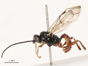  ( - CBG-B03412-H05)  @11 [ ] CreativeCommons - Attribution Share - Alike (2025) CBG Photography Group Centre for Biodiversity Genomics