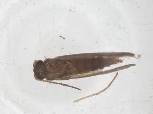  ( - CBG-B03581-A04)  @11 [ ] CreativeCommons - Attribution Share - Alike (2025) Centre for Biodiversity Genomics Centre for Biodiversity Genomics