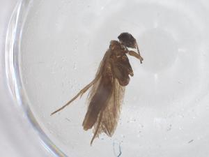  ( - CBG-B03581-D08)  @11 [ ] CreativeCommons - Attribution Share - Alike (2025) Centre for Biodiversity Genomics Centre for Biodiversity Genomics