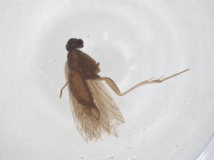  ( - CBG-B03581-F05)  @11 [ ] CreativeCommons - Attribution Share - Alike (2025) Centre for Biodiversity Genomics Centre for Biodiversity Genomics