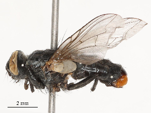  ( - CBG-B04783-B12)  @11 [ ] CreativeCommons - Attribution Share - Alike (2025) CBG Photography Group Centre for Biodiversity Genomics