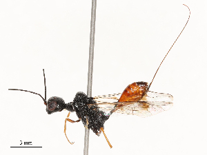  ( - CBG-B04783-E08)  @11 [ ] CreativeCommons - Attribution Share - Alike (2025) CBG Photography Group Centre for Biodiversity Genomics