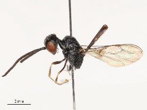  ( - CBG-B04787-B07)  @11 [ ] CreativeCommons - Attribution Share - Alike (2025) CBG Photography Group Centre for Biodiversity Genomics