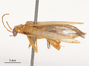  ( - CBG-B04787-C12)  @11 [ ] CreativeCommons - Attribution Share - Alike (2025) CBG Photography Group Centre for Biodiversity Genomics