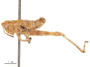  ( - CBG-B04787-G12)  @11 [ ] CreativeCommons - Attribution Share - Alike (2025) CBG Photography Group Centre for Biodiversity Genomics