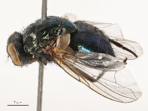  ( - CBG-B04790-F05)  @11 [ ] CreativeCommons - Attribution Share - Alike (2025) CBG Photography Group Centre for Biodiversity Genomics