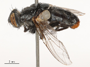  ( - CBG-B04790-G04)  @11 [ ] CreativeCommons - Attribution Share - Alike (2025) CBG Photography Group Centre for Biodiversity Genomics