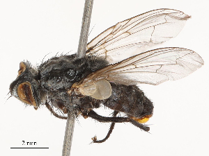  ( - CBG-B04790-H05)  @11 [ ] CreativeCommons - Attribution Share - Alike (2025) CBG Photography Group Centre for Biodiversity Genomics