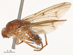  ( - CBG-B04807-D09)  @11 [ ] CreativeCommons - Attribution Share - Alike (2025) CBG Photography Group Centre for Biodiversity Genomics