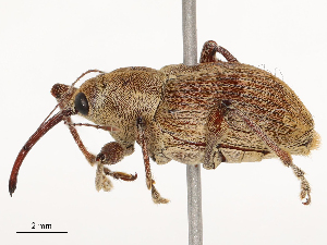  ( - CBG-B04807-F02)  @11 [ ] CreativeCommons - Attribution Share - Alike (2025) CBG Photography Group Centre for Biodiversity Genomics