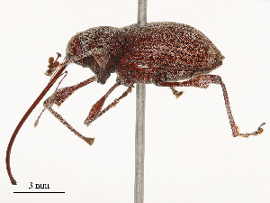  ( - CBG-B04807-F06)  @11 [ ] CreativeCommons - Attribution Share - Alike (2025) CBG Photography Group Centre for Biodiversity Genomics