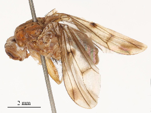  ( - CBG-B04807-G04)  @11 [ ] CreativeCommons - Attribution Share - Alike (2025) CBG Photography Group Centre for Biodiversity Genomics