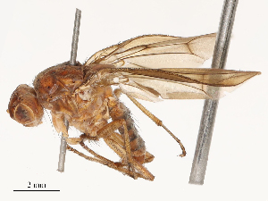  ( - CBG-B04807-G09)  @11 [ ] CreativeCommons - Attribution Share - Alike (2025) CBG Photography Group Centre for Biodiversity Genomics