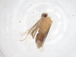  ( - CBG-B04928-F12)  @11 [ ] CreativeCommons - Attribution Share - Alike (2025) Centre for Biodiversity Genomics Centre for Biodiversity Genomics