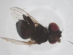  ( - CBG-B22028-E10)  @11 [ ] CreativeCommons - Attribution Share - Alike (2025) Centre for Biodiversity Genomics Centre for Biodiversity Genomics