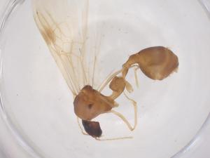  ( - CBG-B22084-D07)  @11 [ ] CreativeCommons - Attribution Share - Alike (2025) Centre for Biodiversity Genomics Centre for Biodiversity Genomics