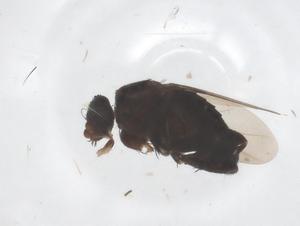  ( - CBG-B22092-F12)  @11 [ ] CreativeCommons - Attribution Share - Alike (2025) Centre for Biodiversity Genomics Centre for Biodiversity Genomics