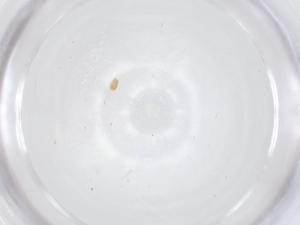  ( - CBG-B22530-C11)  @11 [ ] CreativeCommons - Attribution Share - Alike (2025) Centre for Biodiversity Genomics Centre for Biodiversity Genomics