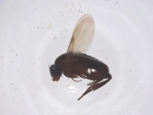  ( - CBG-B22532-F04)  @11 [ ] CreativeCommons - Attribution Share - Alike (2025) Centre for Biodiversity Genomics Centre for Biodiversity Genomics