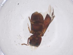  ( - CBG-B22534-F07)  @11 [ ] CreativeCommons - Attribution Share - Alike (2025) Centre for Biodiversity Genomics Centre for Biodiversity Genomics