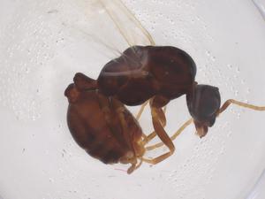  ( - CBG-B22542-D07)  @11 [ ] CreativeCommons - Attribution Share - Alike (2025) Centre for Biodiversity Genomics Centre for Biodiversity Genomics