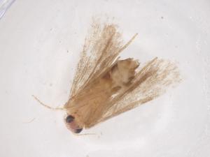  ( - CBG-B22542-F06)  @11 [ ] CreativeCommons - Attribution Share - Alike (2025) Centre for Biodiversity Genomics Centre for Biodiversity Genomics