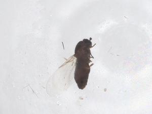  ( - CBG-B22563-E10)  @11 [ ] CreativeCommons - Attribution Share - Alike (2025) Centre for Biodiversity Genomics Centre for Biodiversity Genomics