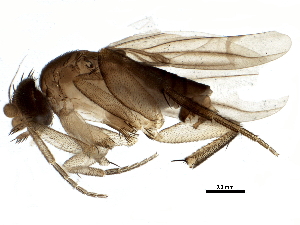  ( - BIOUG14775-G05)  @14 [ ] CreativeCommons - Attribution (2014) CBG Photography Group Centre for Biodiversity Genomics