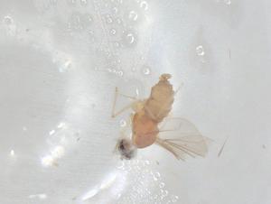  ( - CBG-A02416-B06)  @11 [ ] CreativeCommons - Attribution (2023) Centre for Biodiversity Genomics Centre for Biodiversity Genomics