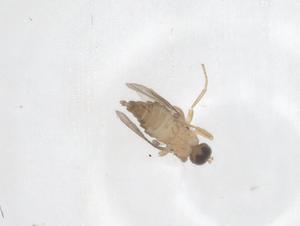  ( - CBG-B02562-E02)  @11 [ ] CreativeCommons - Attribution Share - Alike (2025) Centre for Biodiversity Genomics Centre for Biodiversity Genomics