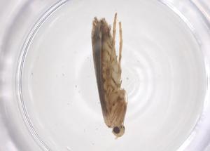  ( - CBG-B02922-H10)  @11 [ ] CreativeCommons - Attribution Share - Alike (2025) Centre for Biodiversity Genomics Centre for Biodiversity Genomics